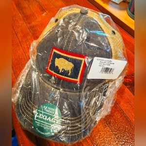 Buffalo Jackson Wyoming Flag Trucker Cap